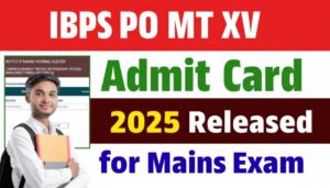 IBPS PO MT XV Admit Card 2025 Released for Mains Exam